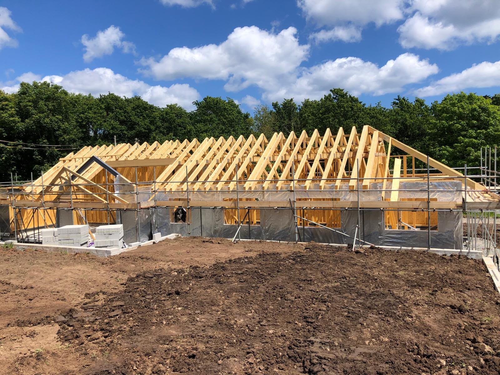 Roof trusses during construction